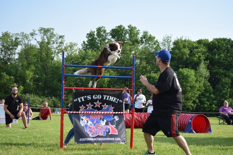 performance dogs of ohio dog show at the ohio eggfest